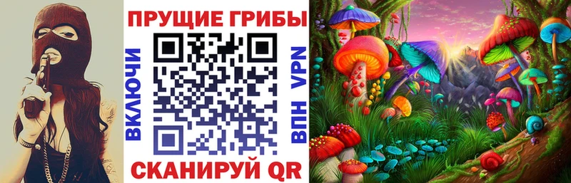 Галлюциногенные грибы мицелий  Купить где  Лесной 