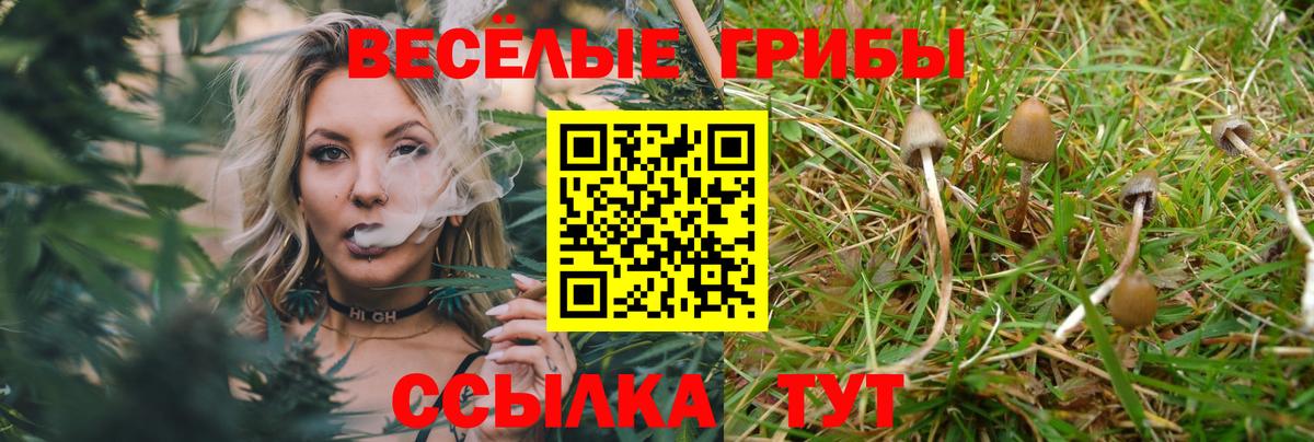 Лесной  Псилоцибиновые грибы прущие грибы  Вход с VPN 